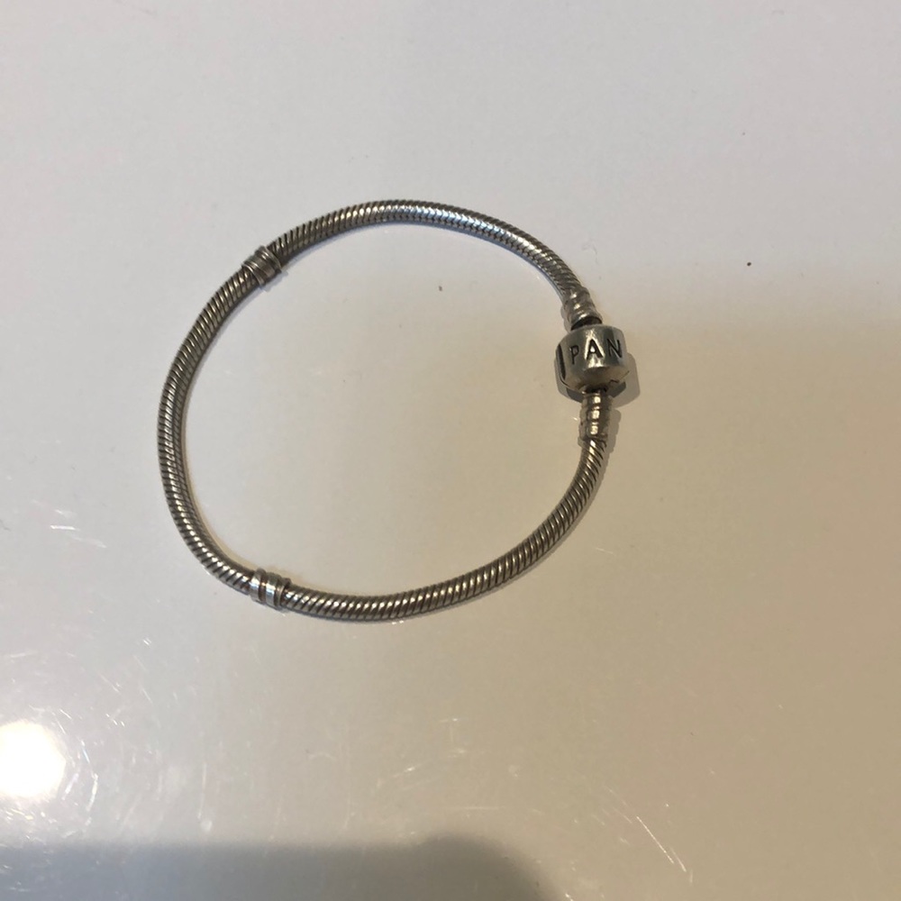 Pandora charm bracelet